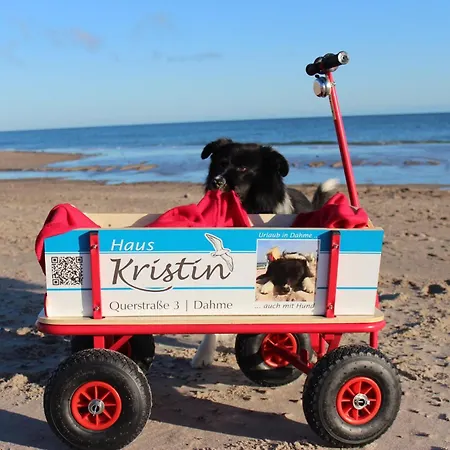 Kristin Апартаменты Даме